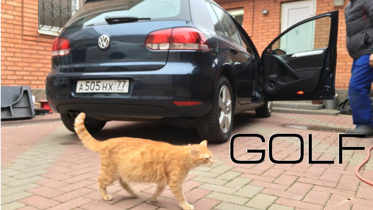 Volkswagen Golf SQ [eng sub]