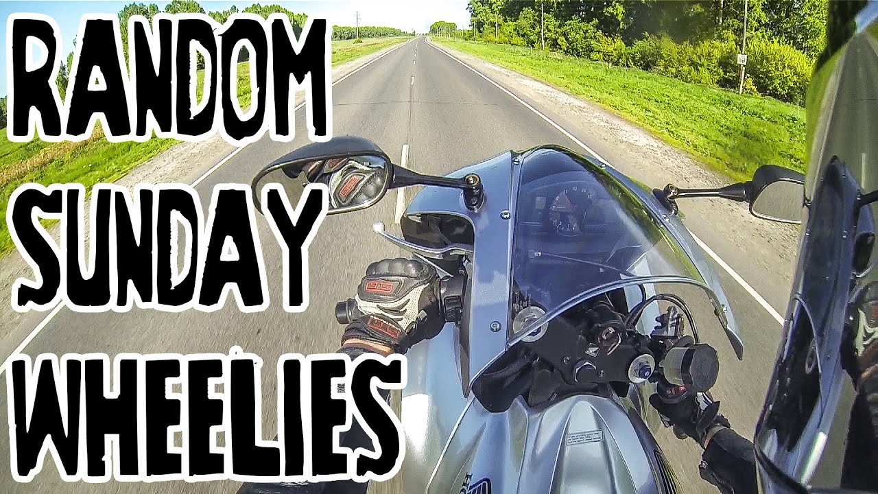 Random Sunday Wheelies - Honda CBR600RR