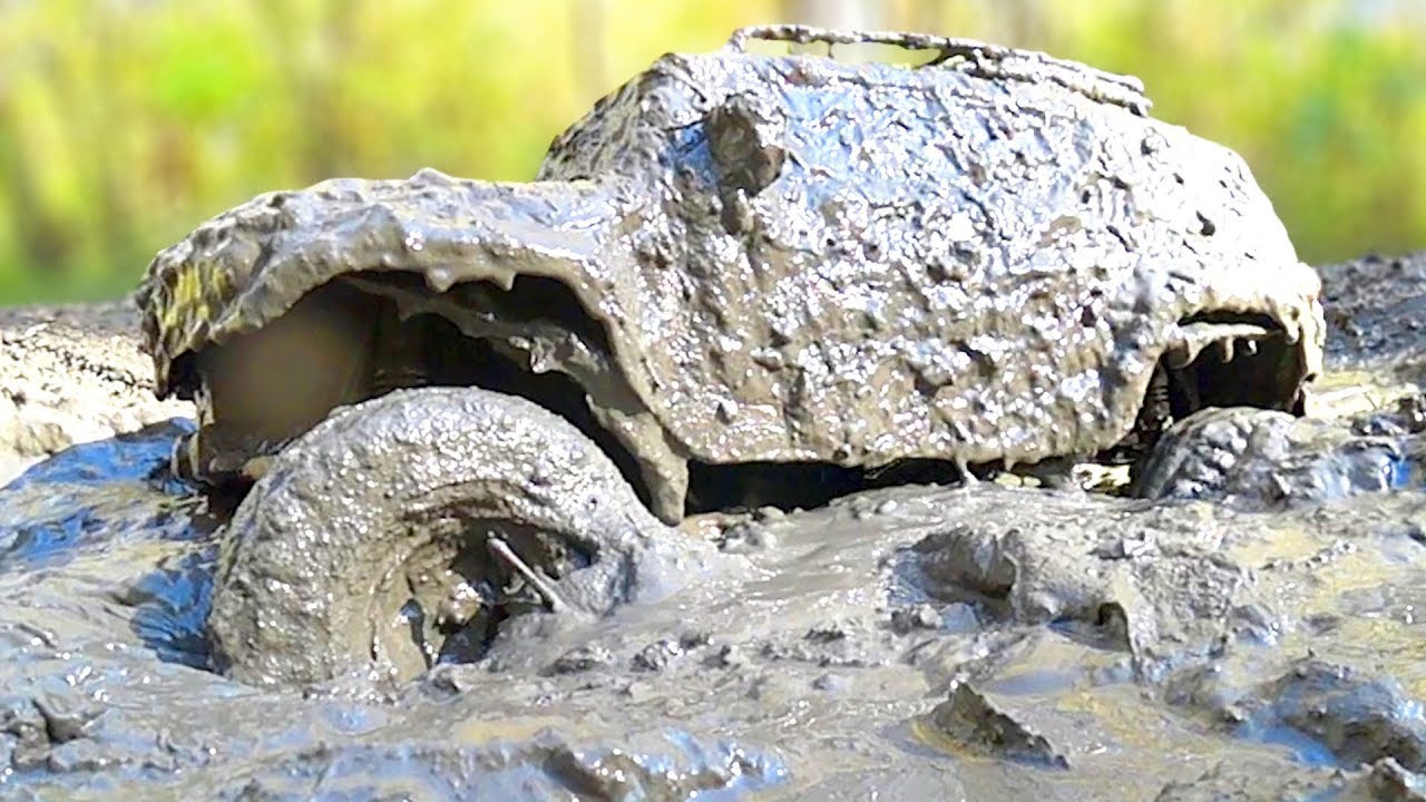 RC Cars Stuck in The MUD — Funny Cars MUD Racing — Vol 1 — Axial SCX10 II, HPI Venture — Wilimovich